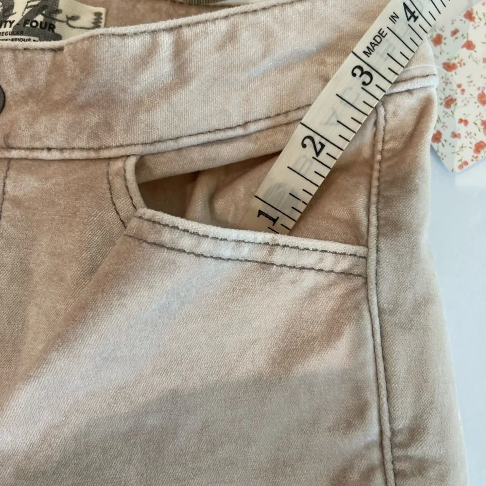 We the Free Velvet champagne Pants size 24